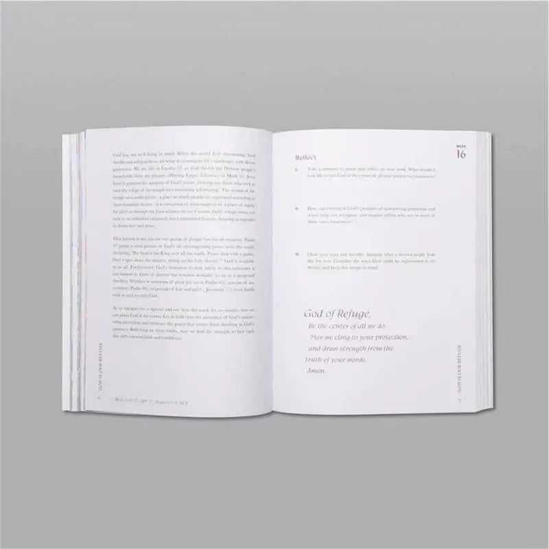 Transform Your Faith: A Beautiful Year in the Bible - 52 Week Women's Study Guide & Journal